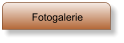 Fotogalerie