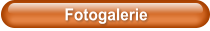 Fotogalerie